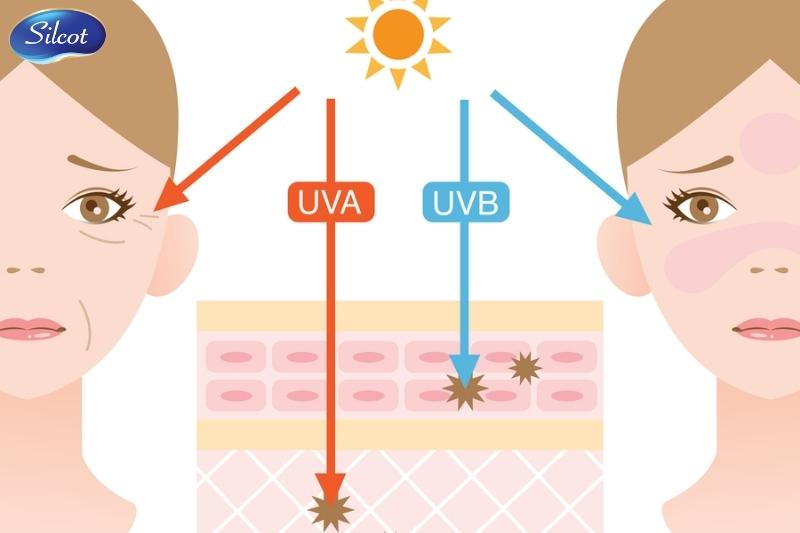 Do tác động của tia UV